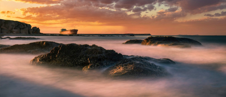 肉質(zhì)鮮美的一種海產(chǎn)品，名字十分有特色